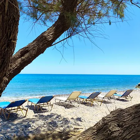Beachfront Lux